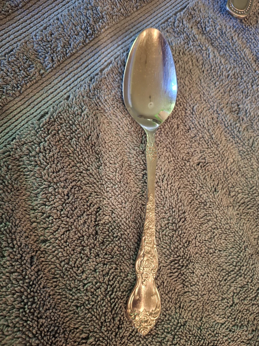 Ornate Decorative Serving Spoon in Silver La France Pattern